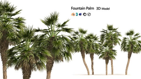 Fountain Palms