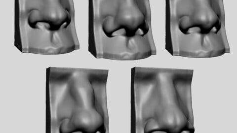 Nose Model with Different Types