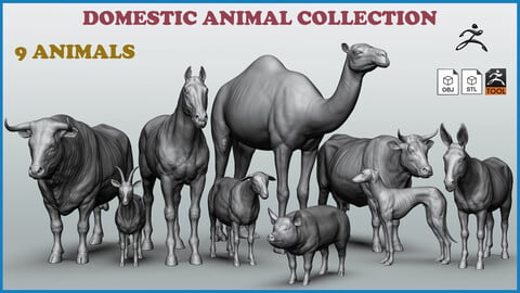 Domestic animal collection - 9 animals  ZTL+OBJ+STL