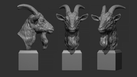 Goat head bust