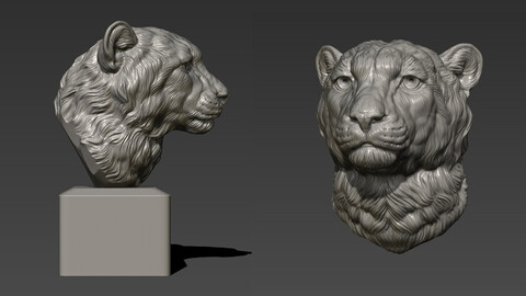 Cheetah head bust