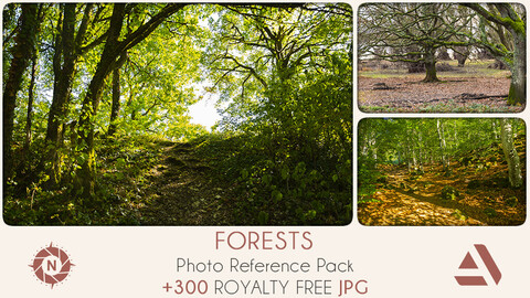Photo Reference Pack: Forests