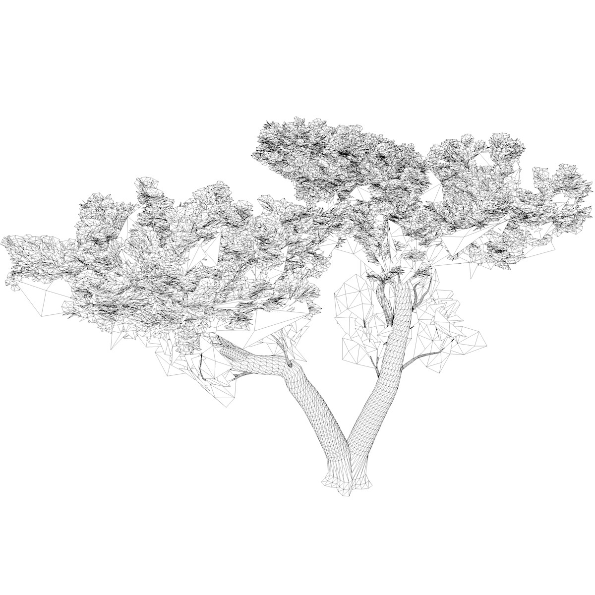 ArtStation - Monterey Cypress #05 (FBX) - High Poly Tree (3D Model ...