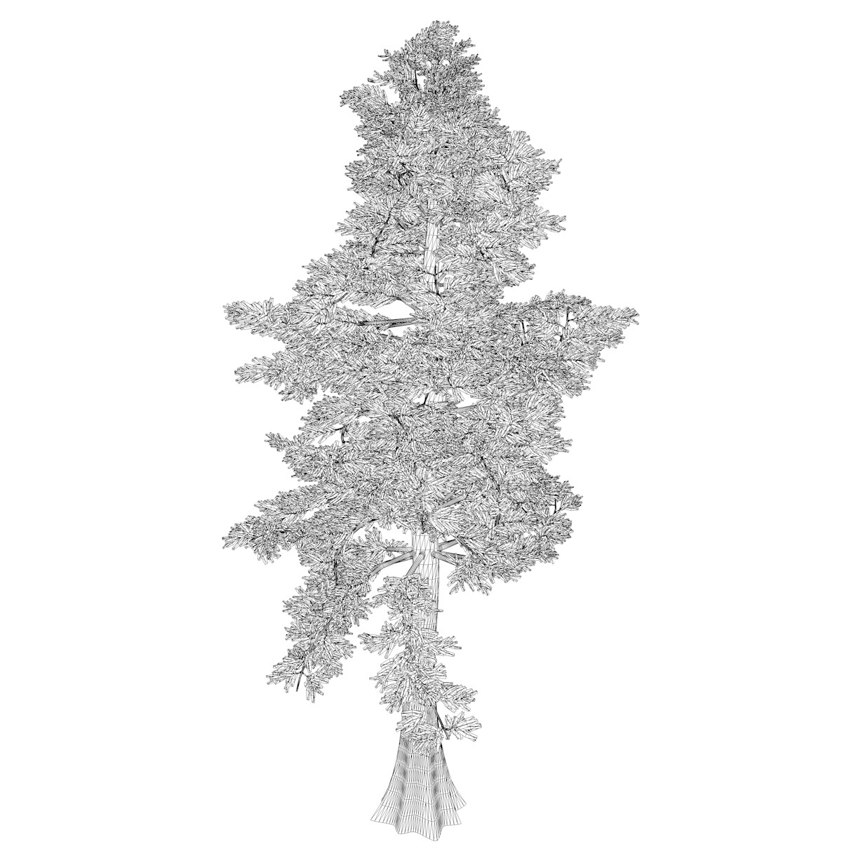 ArtStation - Western Red Cedar #03 (FBX) - High Poly Tree (3D Model ...