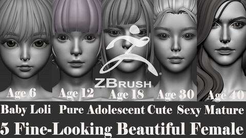 5 Fine-Looking Beautiful Female basemesh from 6 to 40 years mature sex cute old zbrush HighPloy 3D Print Mesh average character woman  female torso head body foot hand highpoly basemesh young anatomy