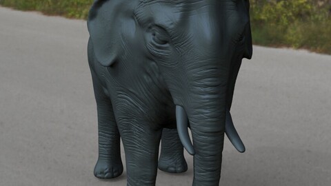 Lowpoly Elephants 3d model