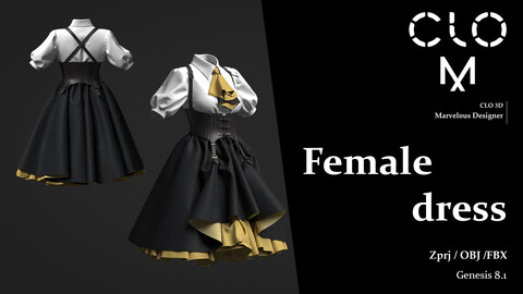 Female dress / Marvelous Designer/Clo3D project file + OBJ