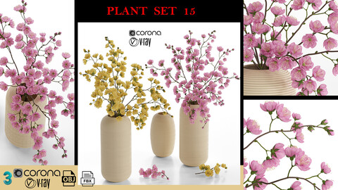 PLANT SET 15