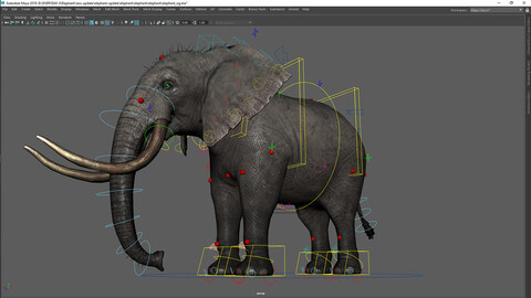 Elephant Maya Rig 3D