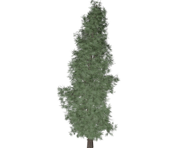 ArtStation - Eastern Red Cedar #04 (FBX) - High Poly Tree (3D Model ...