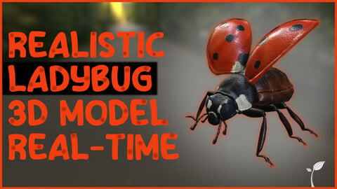 Realistic Ladybug Insect - 8K textures resolution