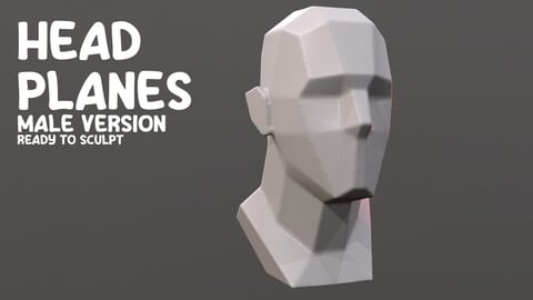 Male Head planes - ready to sculpt on or just study