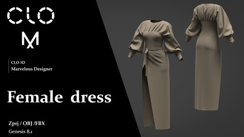 Female dress / Marvelous Designer/Clo3D project file + OBJ