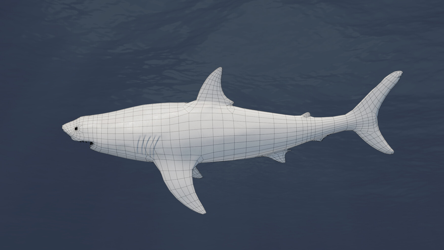 ArtStation - Great white shark - Blender