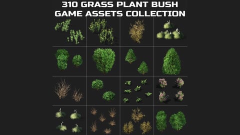 310 Grass, Plant Bush Game Asset