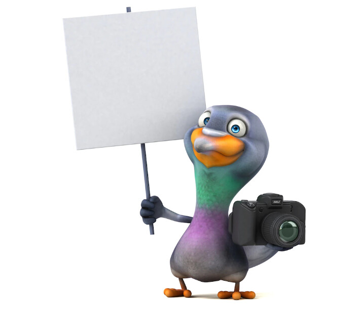 ArtStation - funny pigeon 3d illustration (High quality image) | Artworks