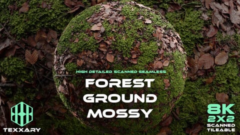 029 Mossy Forest Ground | Scanned Material
