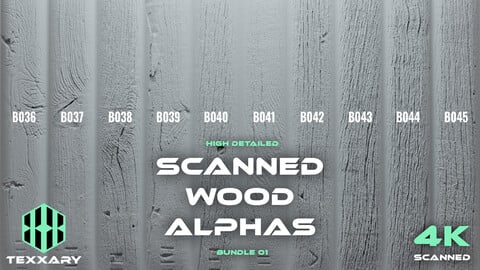 10 Scanned Wood Alphas 01 | Realistic Detailed Wood for ZBrush, Blender and Mudbox