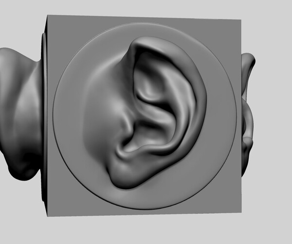 ArtStation - Ear Models for 3DPrint | Resources