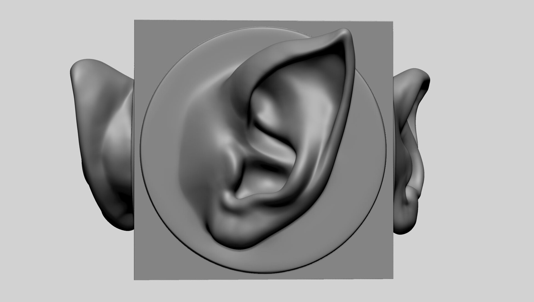 ArtStation - Ear Models for 3DPrint | Resources