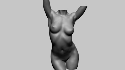 Female Torso Printable A