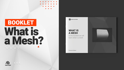 Booklet - What Is A Mesh?