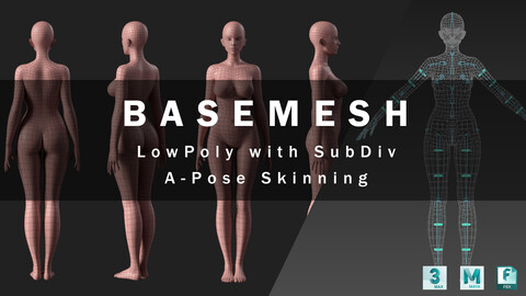 Female Base Mesh Low Poly