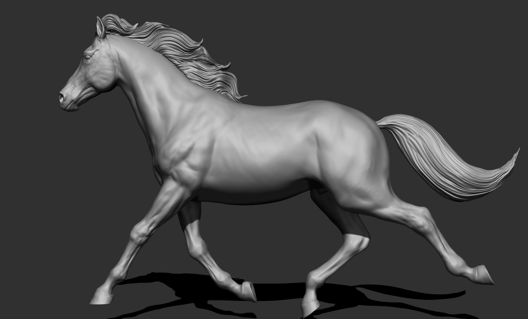 Horse  T-Pose - Buy Royalty Free 3D model by BreathTime (@BreathTime)  [364b8dc]