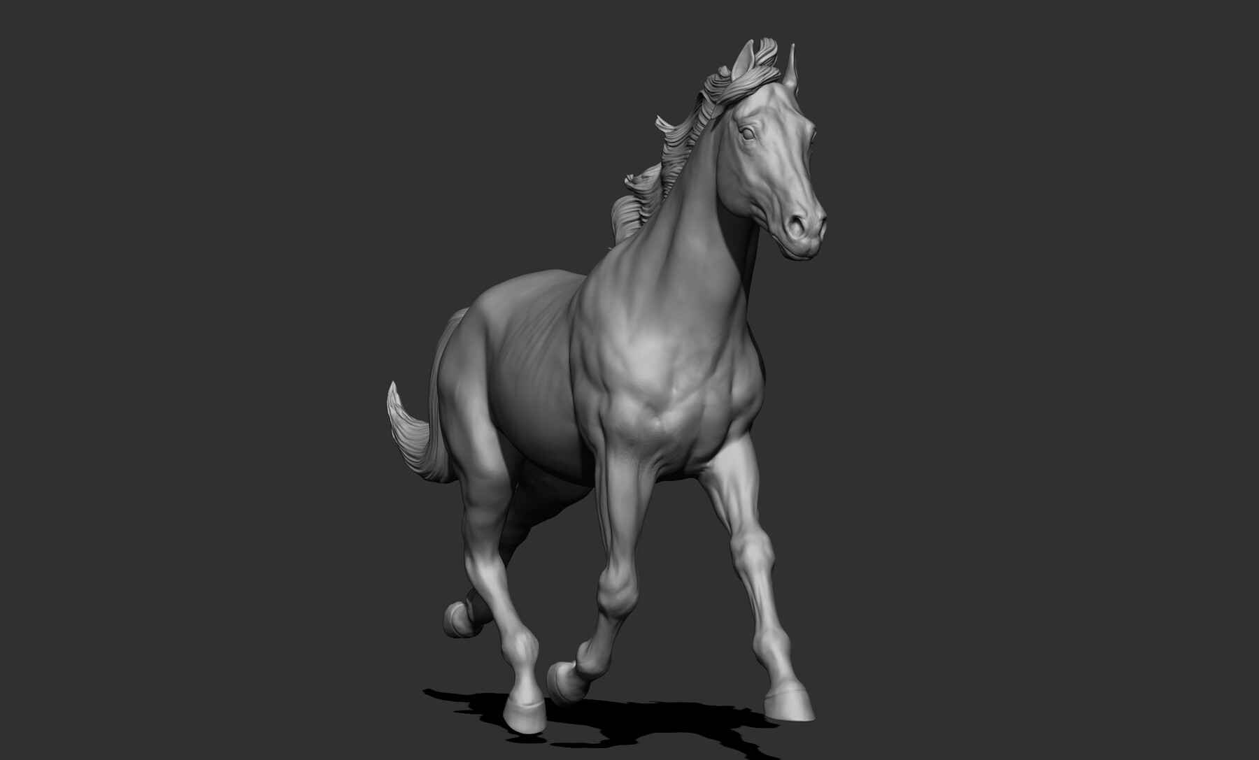 Horse  T-Pose - Buy Royalty Free 3D model by BreathTime (@BreathTime)  [364b8dc]