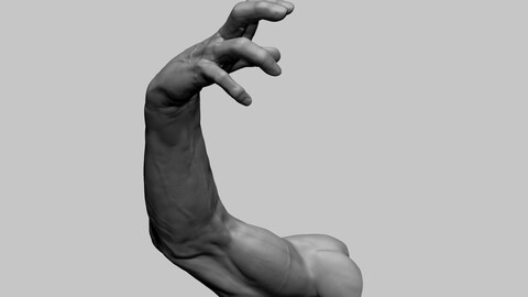 Arm Model Printable A