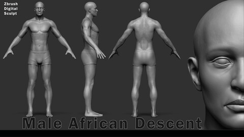 Characters of Color - Male African Descent Sculpt
