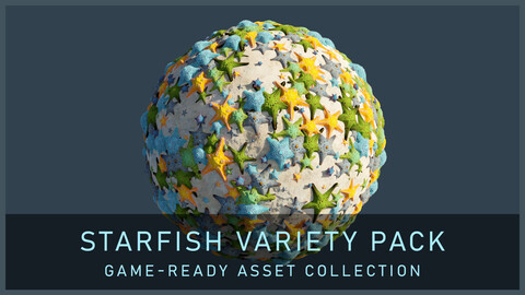 Starfish Variety Pack 1