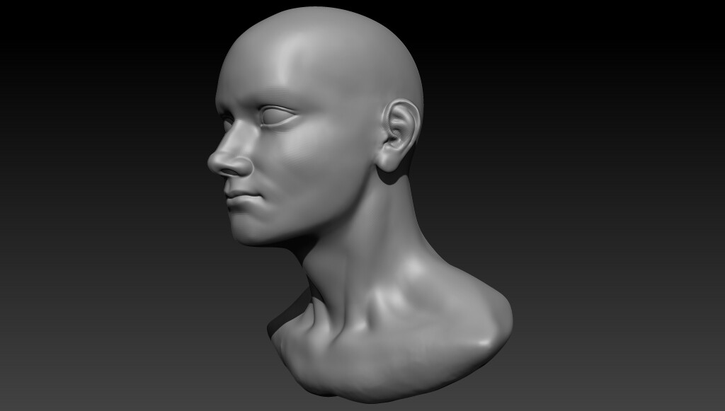 ArtStation - Base Sculpted Head | Resources