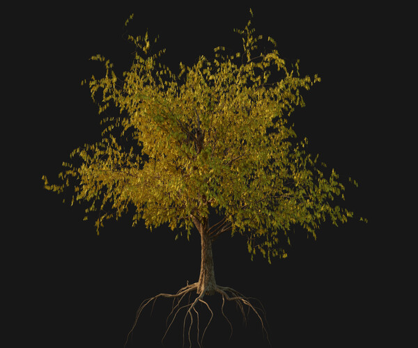 ArtStation - Tree Pack | Resources