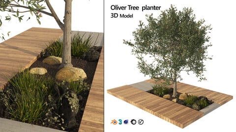 olive tree with wood deck planter