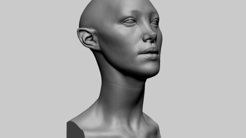 Fantasy Female Bust D
