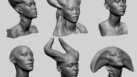 Fantasy Female Bust Collection for 3D Print