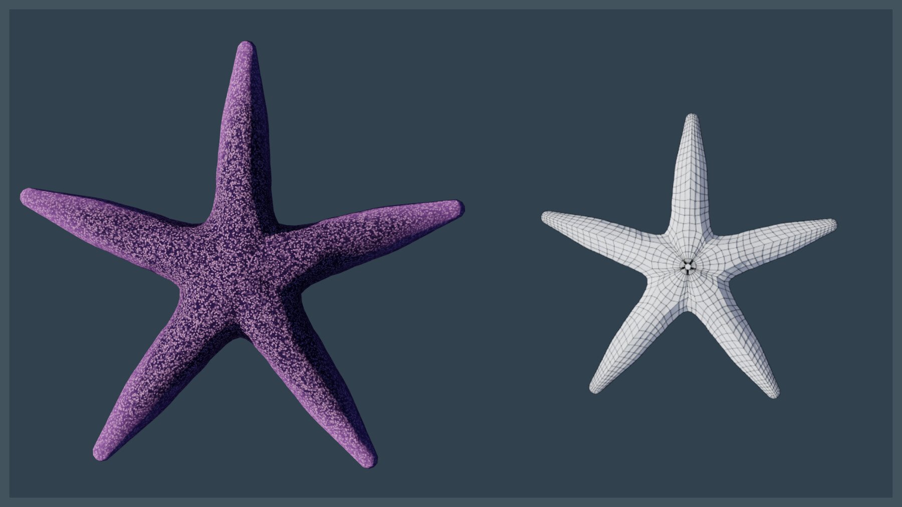ArtStation - Starfish Variety Pack 4 | Game Assets