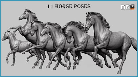 11 horse poses - 3D Models- ZTL+OBJ+STL