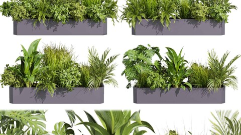 Collection plant vol 430 - ampelous - palm - grass - boxplant - pampas - cinema 4d - 3dsmax