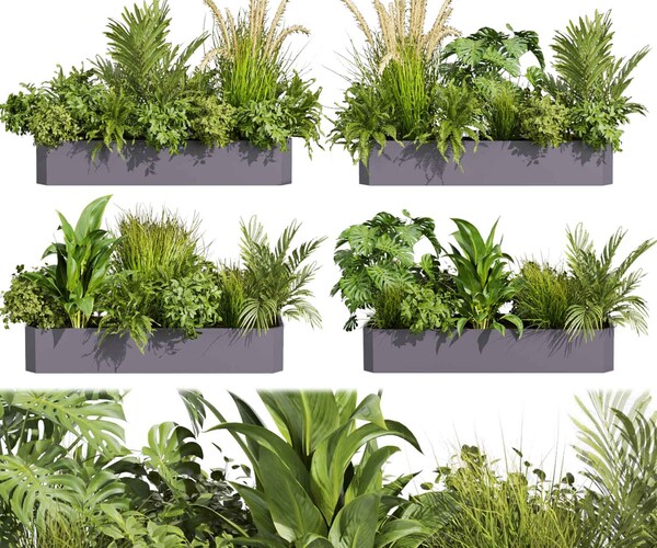 ArtStation - Collection plant vol 430 - ampelous - palm - grass ...