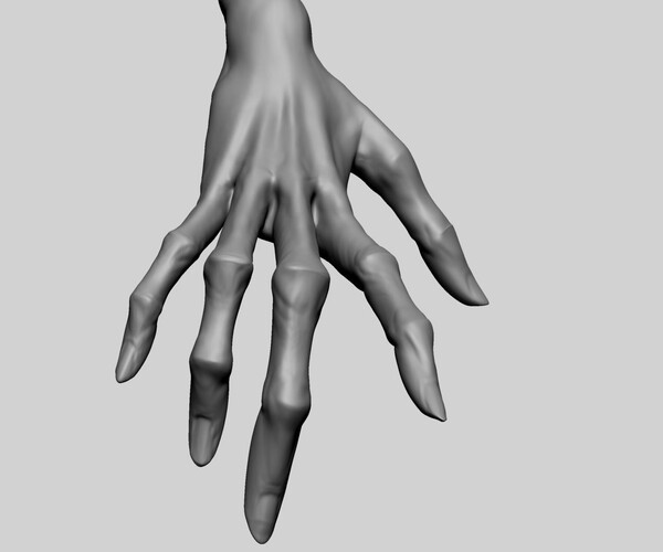 ArtStation - Creature Hand | Resources
