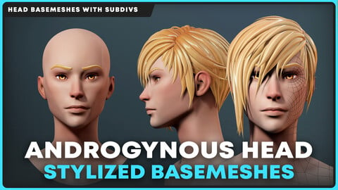 Stylized Androgynous Head Basemesh