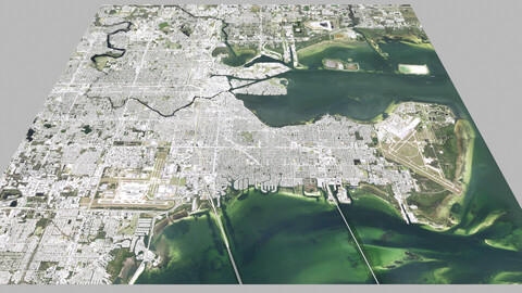 Cityscape Tampa Florida USA