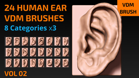 24 Human Ear VDM Brushes for ZBrush - VOL 02