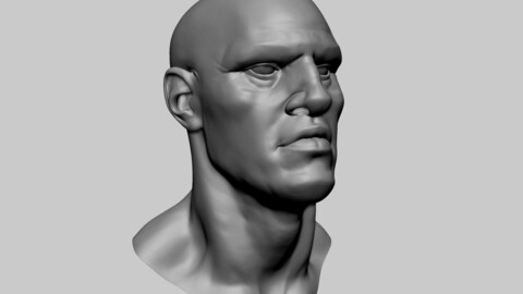 Stylized Male Head E