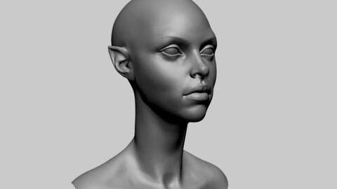 Stylized Female Head H