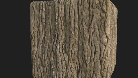 Tree Bark
