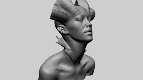 Fantasy Female Bust E 3D Print Model