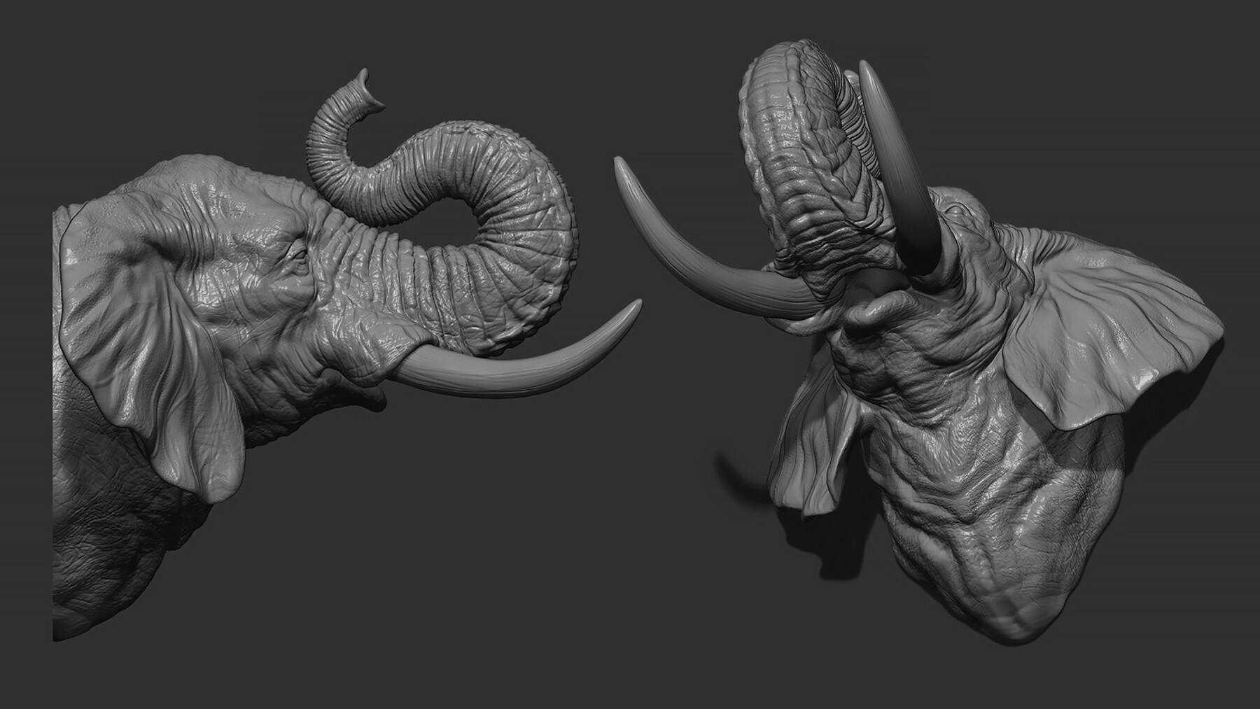 ArtStation - Elephant raised its trunk | Resources